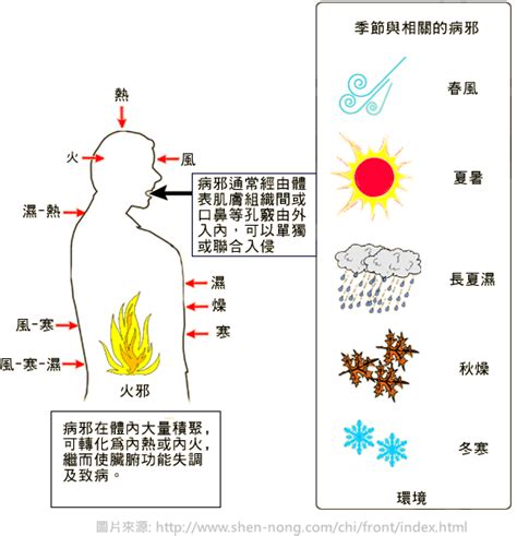 邪氣的人|醫砭 » 中醫病因病機學 » 邪正相爭論